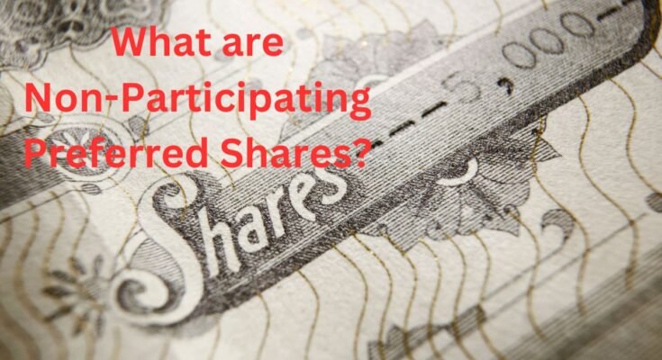 What are Non-Participating Preferred Shares?
